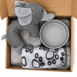 Vesmo Welcome Home Box – Elephant Edition